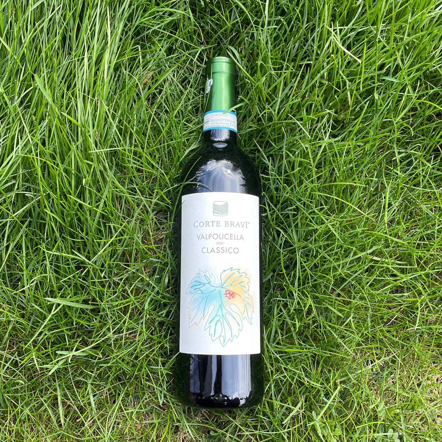 Valpolicella Classico 2023
