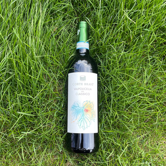 Valpolicella Classico 2023
