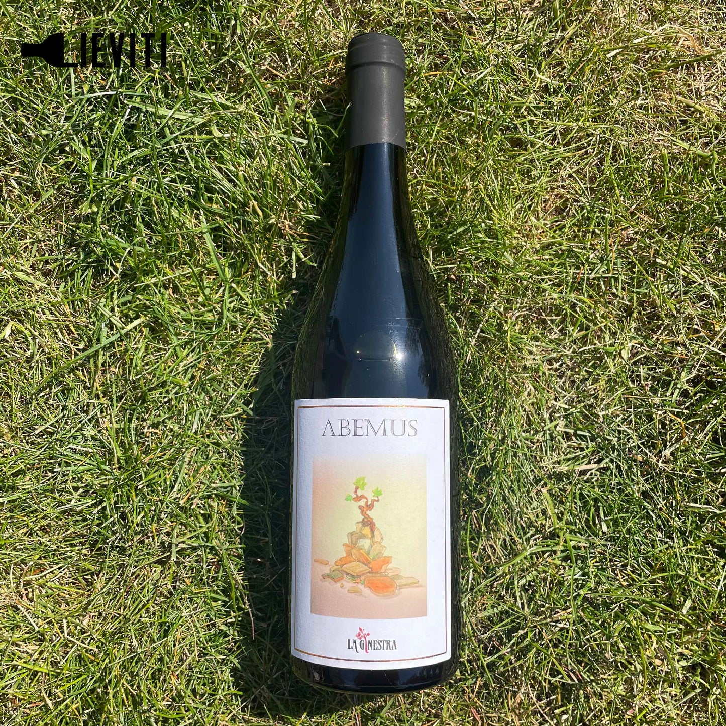 Abemus 2016